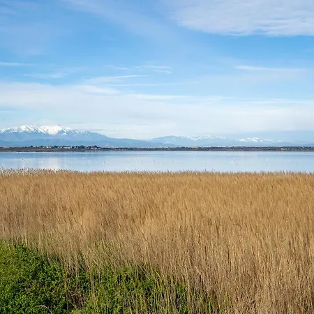 Les Nereides By Interhome * Canet-en-Roussillon